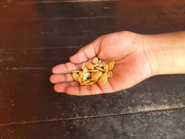 Pumpkin seeds in hand. pumpkin is a vegetable. Its seeds are also eaten. It is very tasty to eat after roasting.