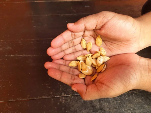 Pumpkin seeds in hand. pumpkin is a vegetable. Its seeds are also eaten. It is very tasty to eat after roasting.