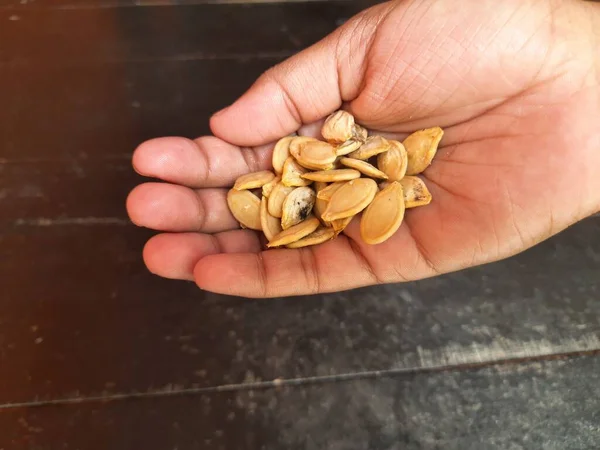 Pumpkin seeds in hand. pumpkin is a vegetable. Its seeds are also eaten. It is very tasty to eat after roasting.