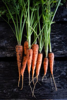 Dışarıdaki ahşap masada organik havuçlar. Yeni toplanmış.