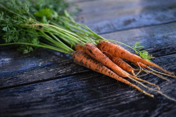 Tahta arka planda taze havuçlar, yakın plan. Seçici odak.