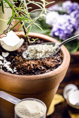 food scraps used as compost, eggshell as plant root vitamin