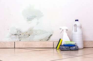 wall with mold problem and water infiltration, with bucket, squirt, sponge and brush for cleaning next to it.