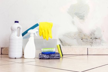 cleaning products used to contain mold on the wall