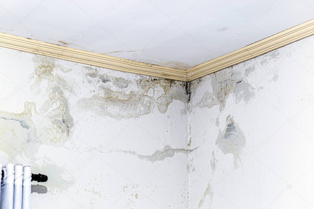 wall damp from excessive rain, problems of infiltration and mold on the wall of the house