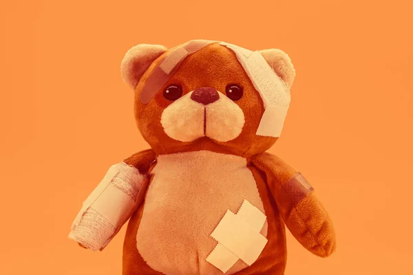 Sick Bear With Bandaged Hand Stock Photo, Picture and Royalty Free Image.  Image 8658903.