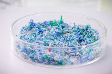 Petri kabında plastik ve mikro plastik izleri, okyanusların ana kirleticisi, polimerlere dayalı katı partiküller.