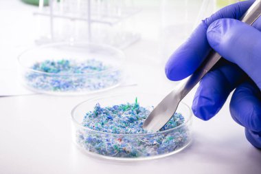 Petri kabında plastik ve mikro plastik izleri, laboratuvarda analiz edilmiş, çevresel sorunların incelenmesi