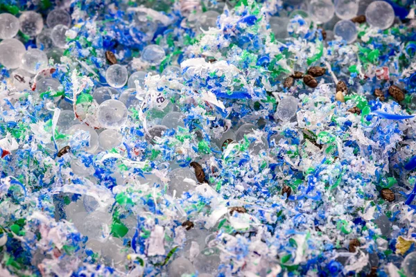 Plastik ve mikro plastik izleri, okyanusların ana kirleticisi, polimerlere dayalı katı parçacıklar, çevresel problem kavramı