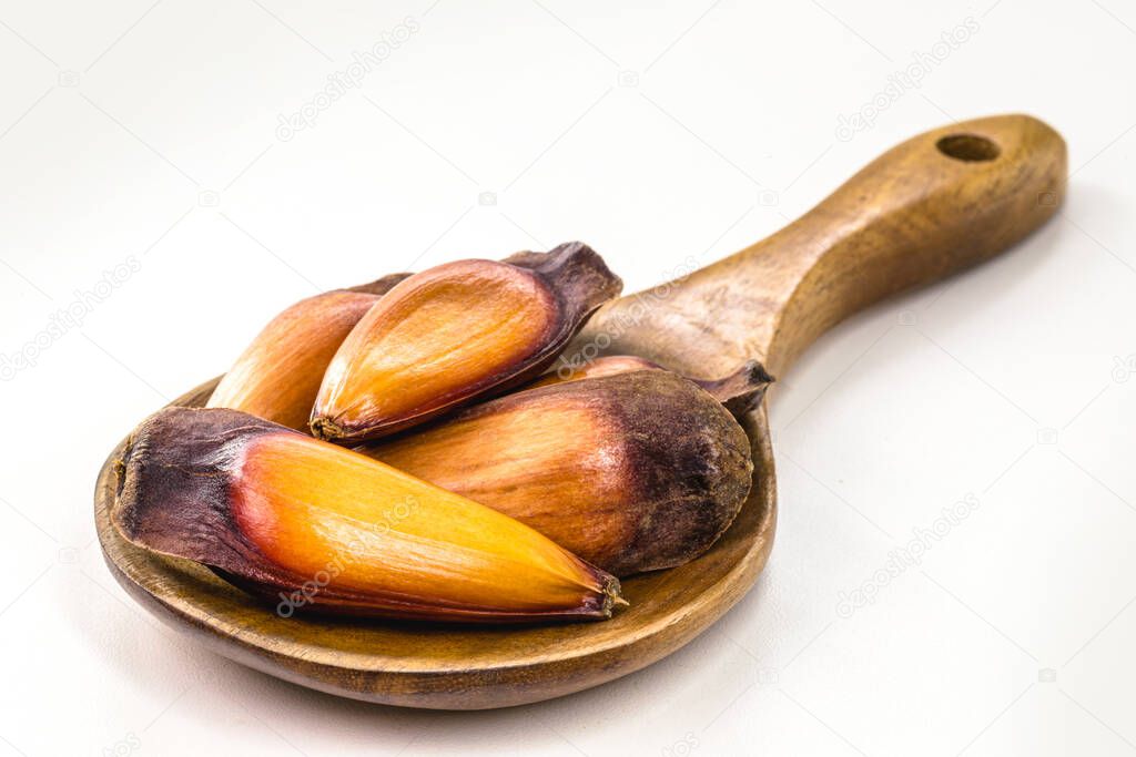 cooked pine nut seed in rustic wooden spoon, copyspace, isolated white background