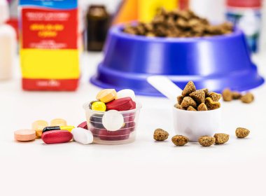 Veteriner hapları ya da ilaçlar, evcil hayvanlar için takviye ya da vitaminler, arka planda evcil hayvan mamaları, fotokopi alanı