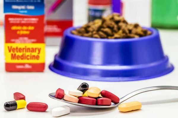 spoon with pills or veterinary medicine, supplements or vitamins for pets, with pet food in the background