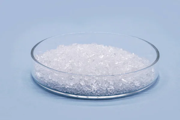 Sodium Chloride Petri Dish Known Salt Table Salt Important Food — Foto de Stock