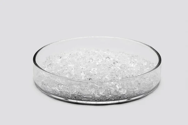 Sodium Chloride Petri Dish Known Salt Table Salt Important Food — ストック写真