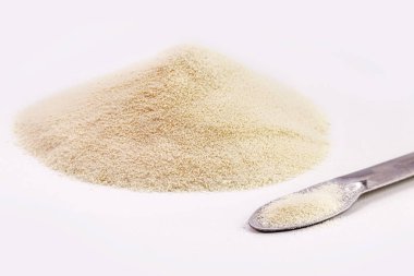 Whey Protein or Creatine, food supplement to gain muscle mass, energy. White background with copyspace