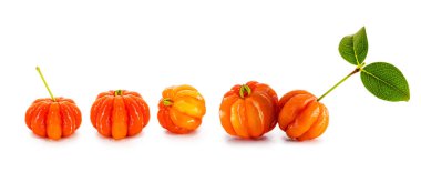 Beyaz arka planda izole edilmiş pitanga meyvesi, Güney Amerika 'dan tipik meyve, Brezilya' dan kiraz, beyaz arka plan ve kopyalama alanından kiraz