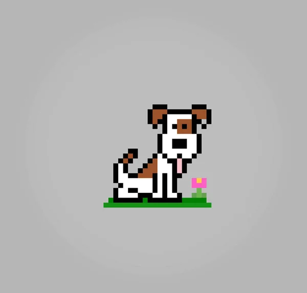 Bit Pixel Dog Jack Russell Animal Head Asset Games Vector — Stockvector