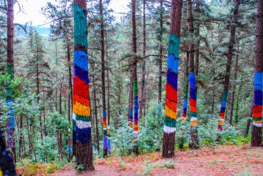 Bosque de Oma, Vizcaya, İspanya.