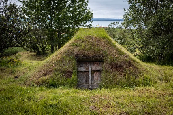 Ahşap kapılı, çatısı yosun ve otla kaplı geleneksel bir İzlanda çim mahzeni..