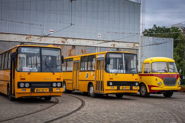 Wroclaw, Polonya - 19 Eylül 2021: İstasyonun önünde üç boş vintage İkarus ve Skoda otobüsü.