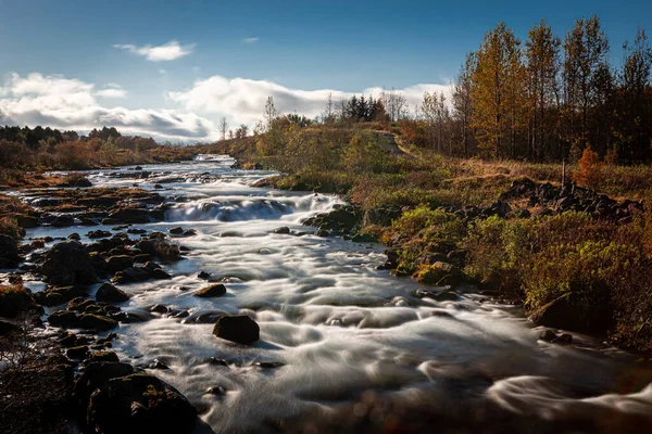 Riacho Florestal Outono Reykjavik Islândia — Fotografia de Stock