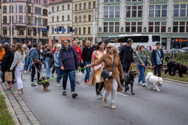 Wroclaw, Polonya - 19 Eylül 2021: Köpekler tasmalı ve sahipleri Wroclaw şehir merkezinde bir köpek geçit töreninde. 