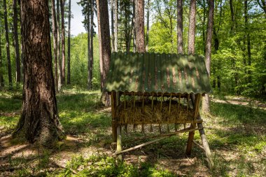 Ormandaki hayvanlar için bir yem rafı. Güneşli bir gün, kimse yok. 