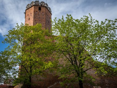 Leczyca, Polonya - 10 Mayıs 2021: Yeşil ağaçlarla çevrili bir ortaçağ kraliyet kalesi. Güneşli bir bahar günü. Kimse yok..