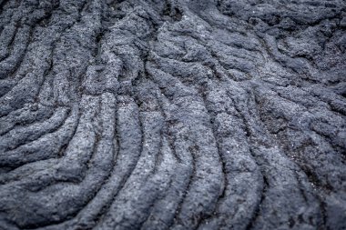 Arka plan olarak gri lav kayası. Hvaleyri Sahili, İzlanda. 