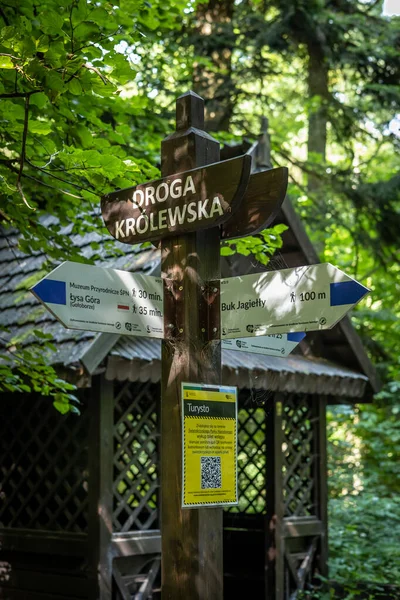 Nova Slupia Poland 2021年7月28日 位于圣十字山脚下的斯威克山国家公园入口处的蓝色旅游小径路标 没有人 — 图库照片