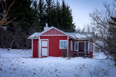 Reykjavik, İzlanda - 25 Ocak 2022: Ormanda, kış mevsiminde, kırmızı, ahşap bir İzlanda evi. Kar, bulutlu gökyüzü, insan yok.. 