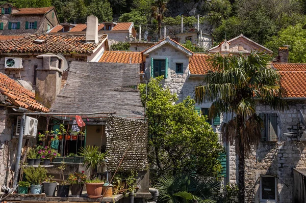 Kotor Montenegro April 2022 Cramped Medieval Stone Houses Orange Tiled — Fotografia de Stock