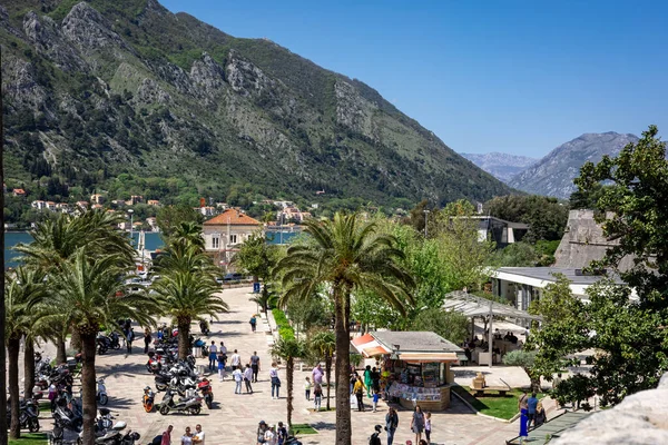 Kotor Montenegro April 2022 People Walking Promenade Kotor Old Town — Zdjęcie stockowe