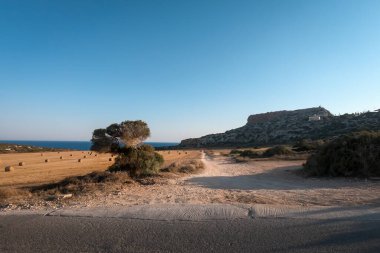 Cape Greco bölgesindeki Kıbrıs kıyı şeridinin manzarası. Ön planda tek ağaç, tarlada saman balyaları, arka planda mavi deniz.