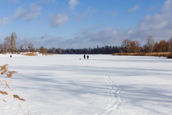 Зимняя рыбалка на озере в яркий солнечный день — стоковое фото