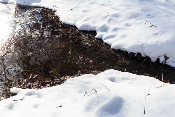 Um córrego faz seu caminho através da neve, cintilando no sol — Fotografia de Stock