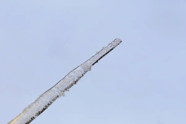 Um belo gelo na forma de um conta-gotas — Fotografia de Stock