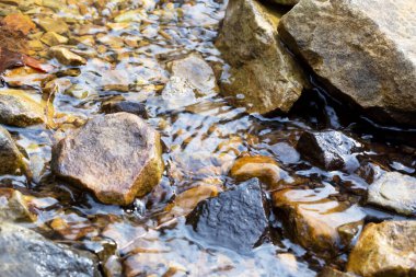 Taşların arasında bir dağ deresi