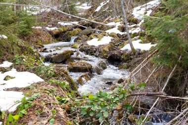 Karpatlar 'da kaynayan bir nehir.