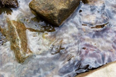 Taşların arasında bir dağ deresi