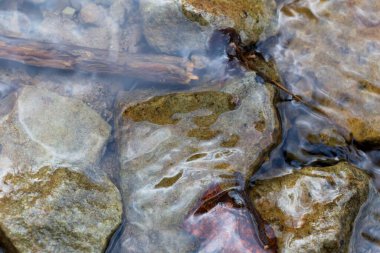 Taşların arasında bir dağ deresi