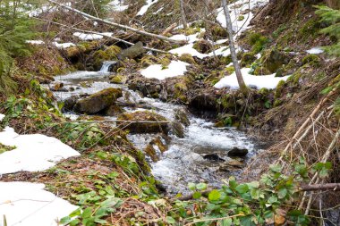 Karpatlar 'da kaynayan bir nehir.