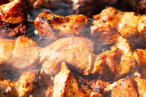 Carne asada en pinchos en el humo —  Fotos de Stock