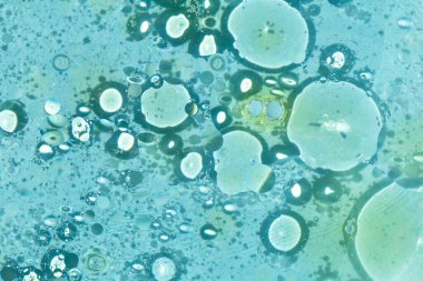 Suda bir sürü yağlı sarı noktalar, açık mavi arka planda daireler, kabarcıklar, kozmos, basitlikte güzellik, her tasarım için bir çözüm. Seçmeli odak, ayrışma