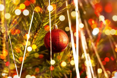 A ball on a pine tree in bright lights in warm sunlight. Christmas tree. Merry Christmas and Happy New Year