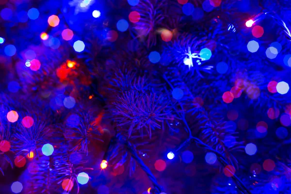 Christmas tree in blue illumination. Christmas and New Year background for the design. Happy Holidays. Selective focus, defocus