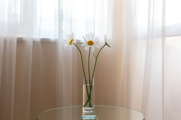 Fresh white daisies in a vase on a glass table against a window with white tulle. Tenderness, passion, love, romance. Selective focus, copy space