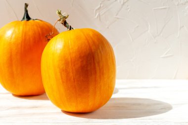 Açık arkaplanda iki olgun turuncu balkabağı. Sonbahar. Cadılar Bayramı. Boşluğu kopyala