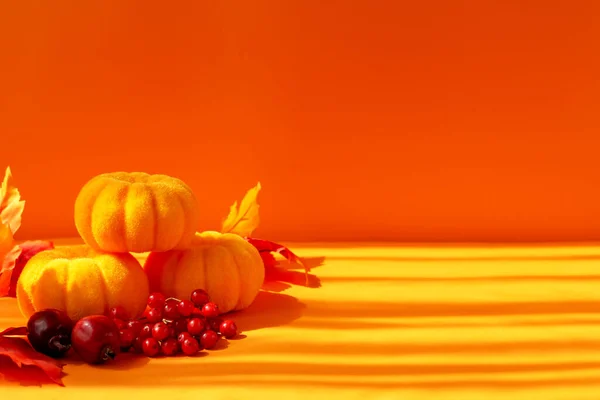 Halloween Tři Dýně Jeřáb Malá Jablka Listy Leží Oranžovém Pozadí — Stock fotografie