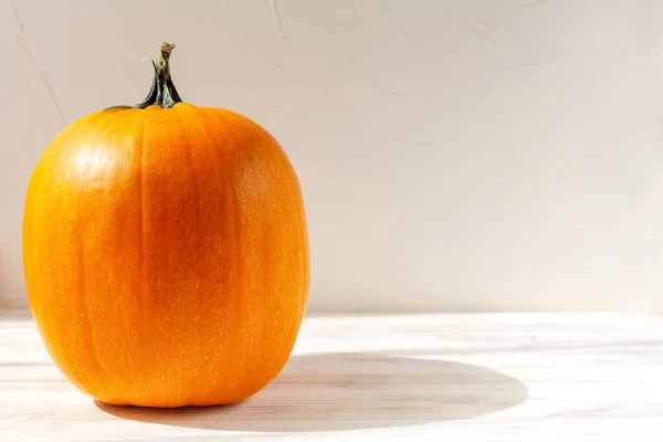 Mogna Orange Pumpor Ljus Bakgrund Hösten Halloween Kopiera Utrymme — Stockfoto